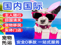 遥墙国际宠物托运 【国